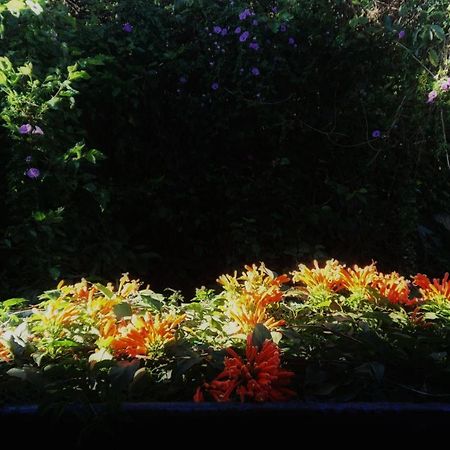 Dalat Inn Homestay Luaran gambar