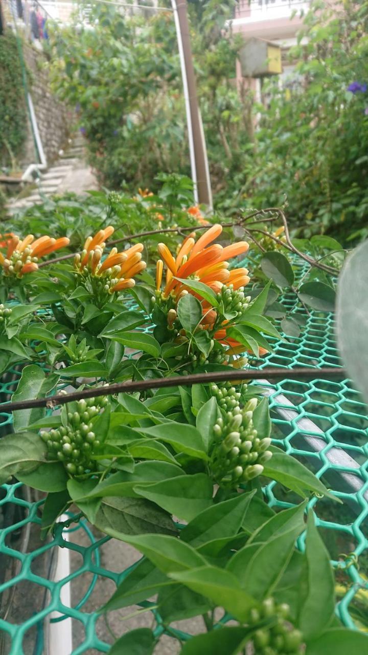 Dalat Inn Homestay Luaran gambar