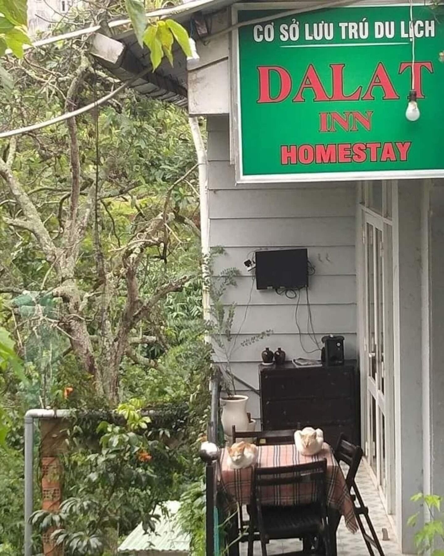 Dalat Inn Homestay Luaran gambar